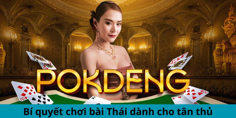 Bí quyết chơi bài Thái dành cho tân thủ