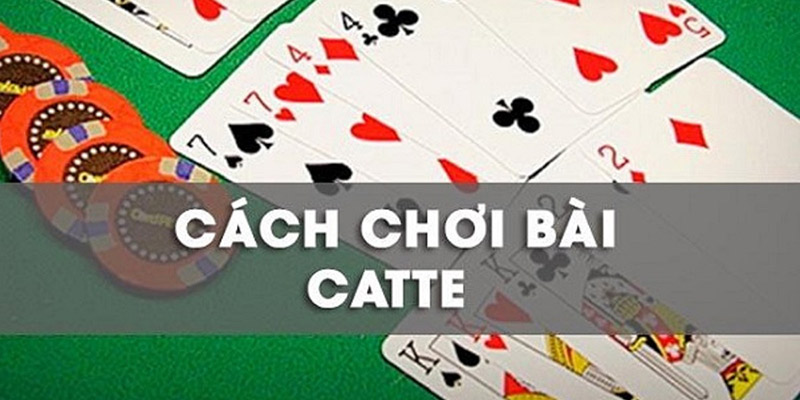 Chia sẻ những kinh nghiệm chơi bài catte từ các cao thủ