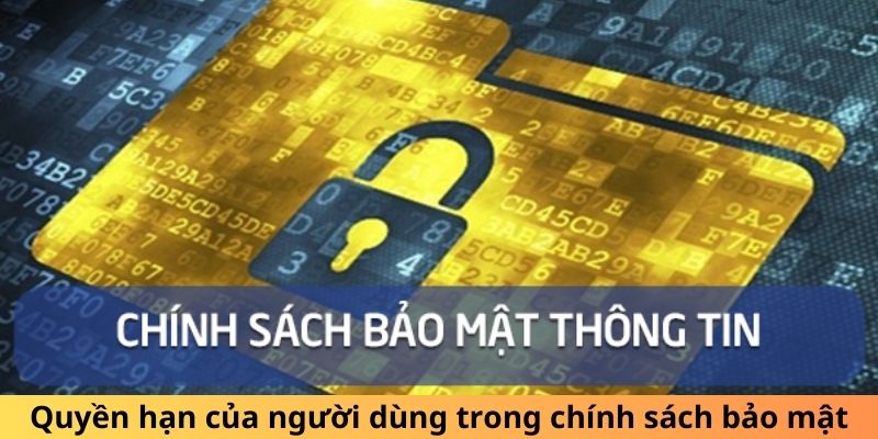 Quyền hạn của người dùng trong chính sách bảo mật